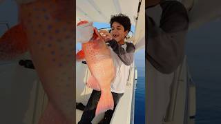 fishing صيد fish سمك بحر صيدالسمك sharklife اكسبلور الصيد ocean trendingshorts trending [upl. by Camellia]