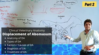 Displacement of Abomasum Part 23 [upl. by Jovi211]