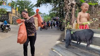 Lâm lử ampGo to the market to catch a PIG release it from the pen and COOK pig fee [upl. by Emelen]