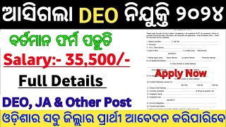 Odisha DEO Post Recruitment 2024  Odisha Govt Job Vacancy 2024  Govt Jobs in Odisha [upl. by Richara]