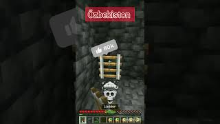 Õzbekiston minecraft yartsa 💀🥶 shorts rek ALFAuz3881 [upl. by Dillon]