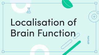 Y1112 Psychology Localisation of Function [upl. by Stephana]