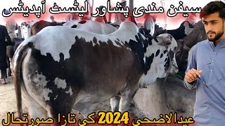 Sepan Mandi Peshawar Latest Updates  2024 [upl. by Ennaillij243]