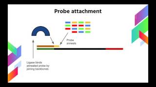 Next Gen SOLiD DNA Sequencing Method Explained [upl. by Hersch]