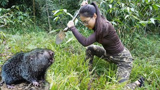 Building a shelter trapping wild mice taking care of pets and cooking  Living alone [upl. by Enoch]