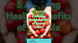 5 Amazing Health Benefits of Acerola Cherry 🍒  carecrash [upl. by Eadahs]