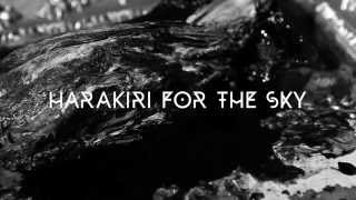 Harakiri For The Sky  My Bones To The Sea Official Music Video [upl. by Nord]