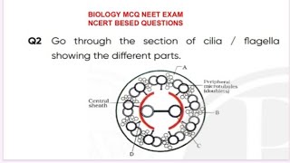 TopMCQ cell the unit of Life NCERT line by line  NCERT Based Biology MCQ for NEET 2024  NEETupdate [upl. by Lleddaw337]