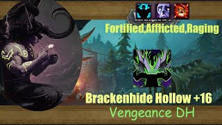 Demon Hunter Vengeance  Brackenhide Hollow 16  POV  Dragonflight Season 4 1026 [upl. by Buffy]