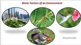 Biotic factors of an Environment or EcosystemInteractions between organismswithghazal [upl. by Odlawso475]