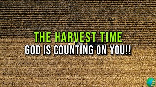 The Harvest Time  God Is Counting On You  Elder Kudzai Chigogora [upl. by Annohsal]