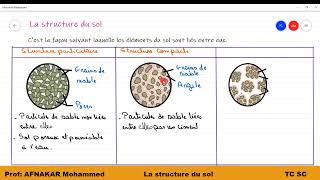 9 TC Rôle des facteurs édaphiques dans la répartition des êtres vivants La structure du sol [upl. by Anoed647]