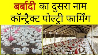 158 Suguna contract poultry farming  contract poultry farming profit  venkys contract poultry [upl. by Aikmat838]