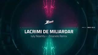 Iuly Neamtu  Lacrimi de miliardar  Zmanele Remix [upl. by Bowrah946]