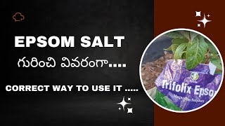 Epsom Salt ని గార్డెన్ లో ఎలా ఉపయోగించాలో తెలుసుకోండి [upl. by Yhtur]