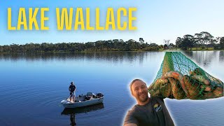 REDFIN ARE BITING Catching a bag of Redin on LAKE WALLACE European perch boat fishing [upl. by Nalid972]