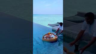 Floating breakfast in the Maldives honeymoon [upl. by Anivlis]