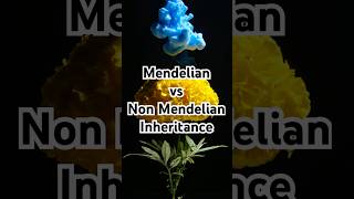 Mendelian vs Non Mendelian Inheritance Explained [upl. by Fitzgerald789]