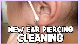 HOW TO CLEAN YOUR NEWLY PIERCED EARS  Ear Piercing Aftercare [upl. by Millar]