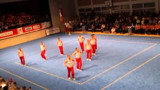 STV Frauenfeld  Team Aerobic [upl. by Anorahs]