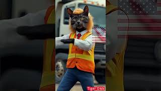 i am not garbage i am Americans cat garbagetruckvideos trump trump2024 garbage shorts [upl. by Suolkcin422]