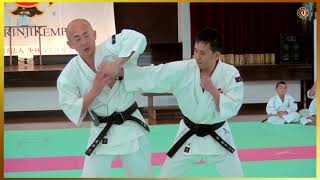 Analysis of soft and hard techniques Shorinji Kempo self defense GOHO JUHO sensei Arai 武道少林寺拳法 [upl. by Uta]