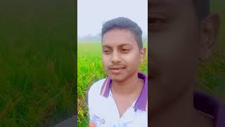 Hariye jay tanvirsjourney dinajpur love bhushirbandar sefalirbazar shorts [upl. by Irap371]