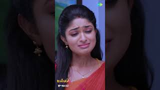 Malli Serial Shorts  Ep 152  4  Nikitha  Vijay  Saregama TV Shows Tamil shorts ytshorts [upl. by Sublett604]