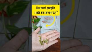 Surprising Truth Pumpkin Seed Daily Intake Revealed shortsfeed [upl. by Gustavus296]