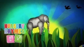 ELEPHANTS HAVE WRINKLES  New Nursery Rhymes  English Songs For Kids  Nursery Rhymes TV [upl. by Chip]