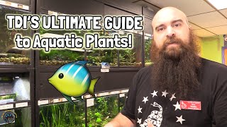 🌿 TDI’s ULTIMATE Guide to Aquatic Plants for Your Freshwater Aquarium 🐠 [upl. by Celisse]