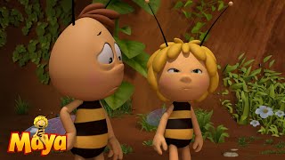 The Project  Maya the bee🐝🍯🐝 [upl. by Giovanni]