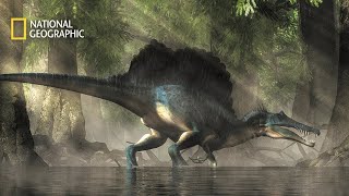 EL NUEVO SPINOSAURUS  Documental National Geographic [upl. by Alon]