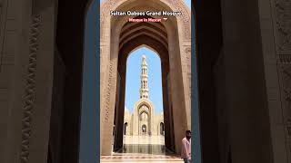 Sultan Qaboos Grand Mosque  Mosque in Muscat  shorts explore viralvideo omantour ytshorts [upl. by Eirak877]