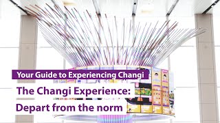 The Changi Experience Depart from the norm [upl. by Gelhar]