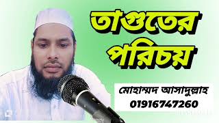 তাগুতের সংক্ষিপ্ত পরিচিতি [upl. by Mabelle]