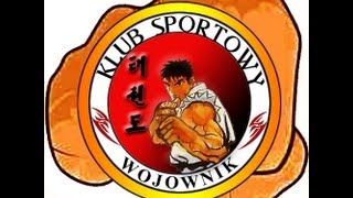 WYMAGANIA EGZAMINACYJNE NA 8 CUP TAEKWONDO ITF [upl. by Thompson336]