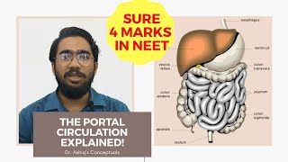 NEETBiology The Portal Circulation Explained [upl. by Neeroc]