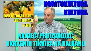 MALI POSEDI  UZGOJ UKRASNIH TIKVI  bundeva  RAZNE druge kulture ima ALTERNATIVE [upl. by Eatnoj]