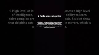 2 facts about dolphins [upl. by Cairistiona454]