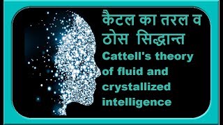 कैटेल का तरल व ठोस सिद्धान्त Cattells theory of fluid and crystallized intelligence [upl. by Shaum]