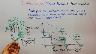 CVS 182  Analysis of cardiac output curve and venous return curve combined  Right atrial pressure [upl. by Haerr684]