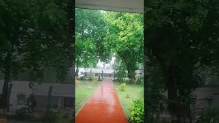 Rain NatureGreenery [upl. by Win]