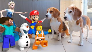 Animations in REAL LIFE vs Funny Dogs 🥳 Mario  Olaf  LEGO and Many More [upl. by Zarah2]