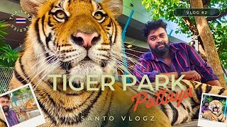 Tiger Park 🐯  Pattaya  2024  Full details  Thailand Vlog 2 [upl. by Alaet204]