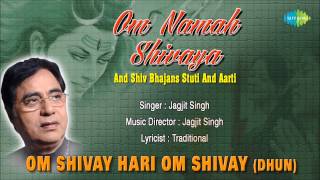 Om Shivay Hari Om Shivay Dhun  Hindi Devotional Song  Jagjit Singh  Superhit Shiv Bhajan [upl. by Maggee798]