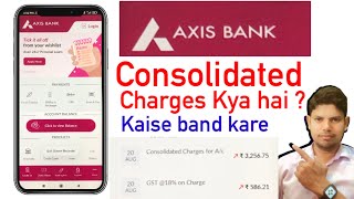 Axis Bank Consolidated Charges Kaise Band Kare  Axis Bank Consolidated Charges 2023 [upl. by Magree166]