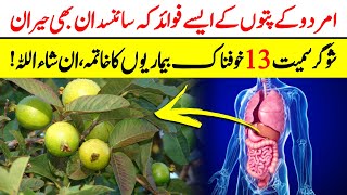 Health Benefit Of Eat Guava Leaves In Empty Stomach Urdu Hindi  Amrood K Fayde [upl. by Berthoud]