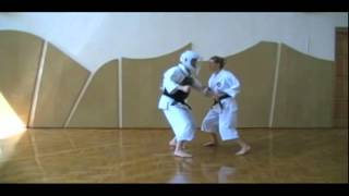 Shorinji Kempo Techniques  2 Kyu Juho [upl. by Percival253]