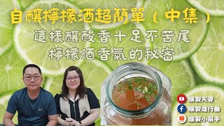 【釀製夫妻】自釀檸檬酒超簡單（中集）｜檸檬酒天然香氣的秘密｜酸香十足不會苦｜Lemon Wine 萊姆酒｜萊姆無籽檸檬lime｜西打酵母｜配比｜釀製進行曲｜釀製小幫手｜果酒釀製實作｜科學釀製｜釀酒技巧 [upl. by Hbahsur]